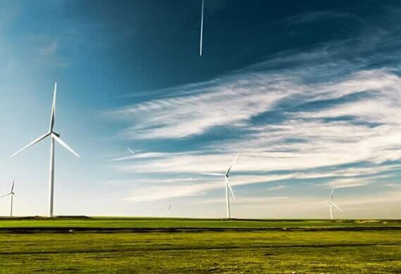 Surviving sustainably on solar